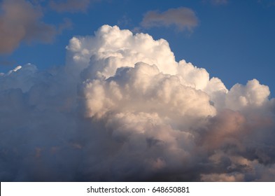 にゅうどうぐも Hd Stock Images Shutterstock