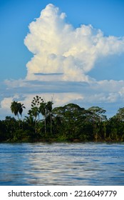 Cumulus Clouds Above The Amazon Rainforest And The Mamoré River, On The Crossing Between The Towns Of Guayaramerín, Beni Department, Bolivia, And Guajará-Mirim, Rondonia State, Brazil