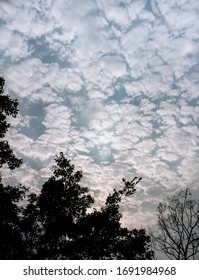 Cumulus Clouds With Blue Skies In The Background And Sillhouette Of Tree Branches In The Foreground