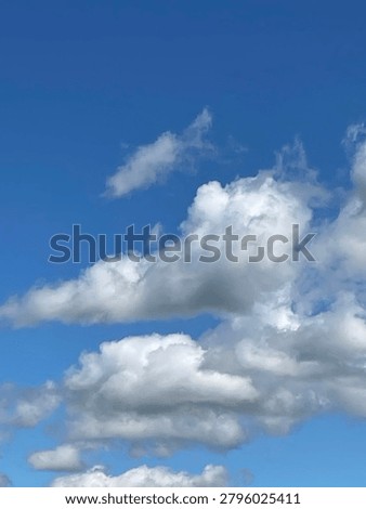 Cumulus clouds floating in a sky blue sky.
