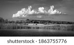 
Cumulus clouds over the river