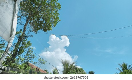 Cumulus clouds are a type of cloud that is often seen in the sky, they are white and shaped like soft cotton balls. 