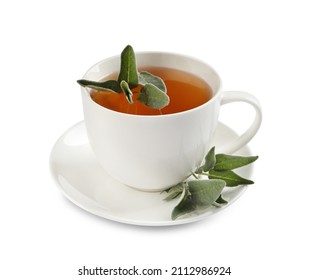 Cup Of Aromatic Sage Tea And Fresh Leaves Isolated On White