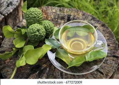 Bergamot Tea Images Stock Photos Vectors Shutterstock