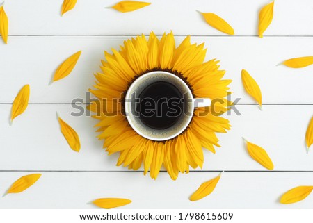 Similar – Image, Stock Photo sunday flowers Sunflowers