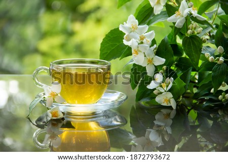 A Cup of green tea and white Jasmine flowers.