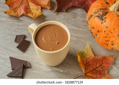 Cup of hot chocolate, a pieces of chocolate on dark concrete background with maple leaves and pumpkin. Fall time. Autumn composition.