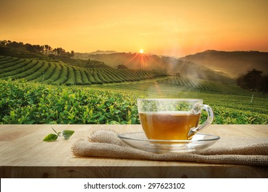 Cup of hot tea with sacking on the wooden table and the tea plantations background