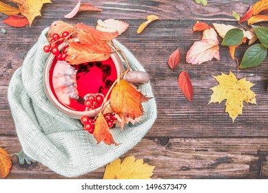 A Cup Of Hot Tea Scaffold Closed With A Warm Wool Scarf On A Wooden Table With Autumn Yellow And Red Leaves, Close Up