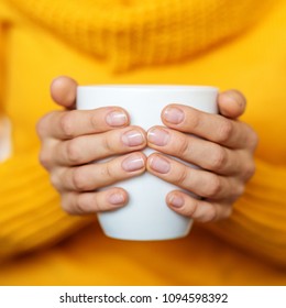 Cup of hot tea in your hands. Square. Beverage concept, lifestyle, autumn and winter.