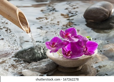 cup of orchids in running water