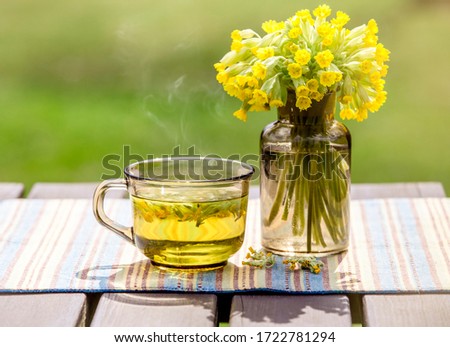 Cup of Primula veris tea (cowslip, common cowslip, cowslip primrose; syn. Primula officinalis Hill with fresh blossoms outdoors, green background. Alternative medicine concept.