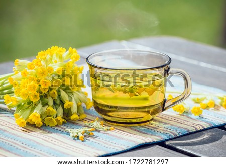Cup of Primula veris tea (cowslip, common cowslip, cowslip primrose; syn. Primula officinalis Hill with fresh blossoms outdoors, green background. Alternative medicine concept.
