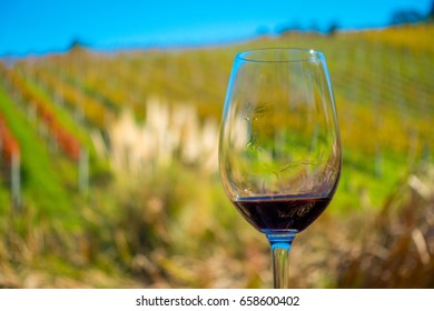 Cup Of Red Wine On Vineyard Background In Waiheke Island In Auckland, In A Beautiful Blue Sky In Summer Time