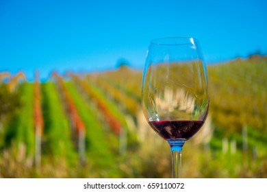 Cup Of Red Wine On Vineyard Background In Waiheke Island In Auckland, In A Beautiful Blue Sky In Summer Time