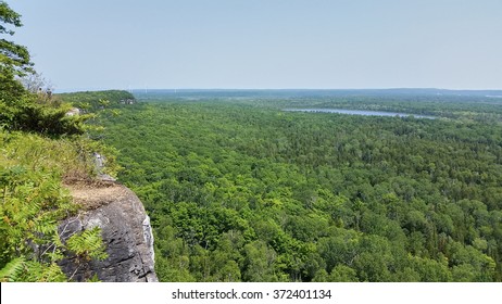 Cup And Saucer Trail Images Stock Photos Vectors Shutterstock