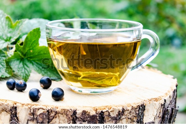 Cup Tea Black Currant Leaves Tea Food And Drink Stock Image 1476548819