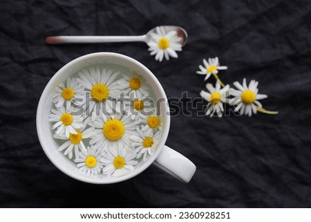 Similar – Fresh chamomile flowers in teapot on blue background