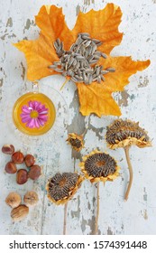 Cup Of Tea With A Floating  Fresh Chrysanthemums Flower, A Plane Tree Leaf With Some Sunflower Seeds, Dried Sunflowers,chestnuts And Nuts On A Wooden Table