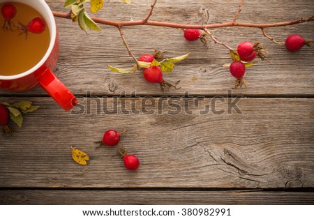 Similar – rose hips Fruit Rose hip