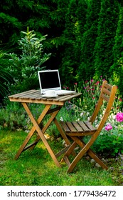 Cup Of Tea And Laptop Computer On A Wooden Table In A Garden