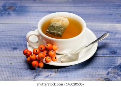 Cup of tea on blue background close up. Gourmet delicious taste. Herbal tea. Ceramic cup hot fresh brewed tea beverage. Cafe menu. Health care folk remedies. Drink aromatic rowanberry beverage. - Powered by Shutterstock