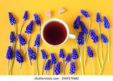 A cup of tea with two sugar cubes in the shape of a heart among blue muscari flowers on a yellow background - the concept of a pleasant tea party with your loved ones
