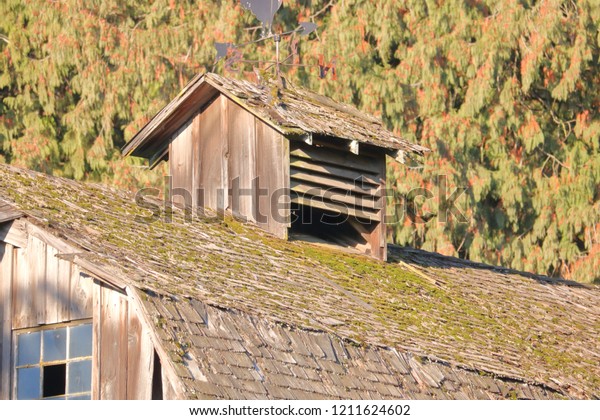 Cupola Part Architecture Old Barn That Stock Photo Edit Now