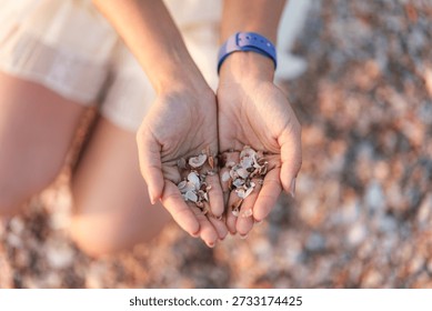 Cupped hands filled with assorted seashell fragments on beach sand, simple marine detail symbolizing nature, memory, and seaside experience