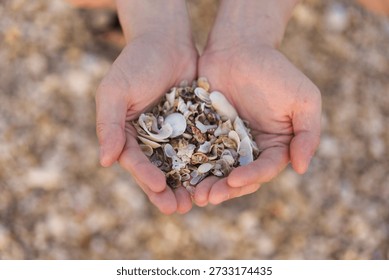 Cupped hands filled with assorted seashell fragments on beach sand, simple marine detail symbolizing nature, memory, and seaside experience