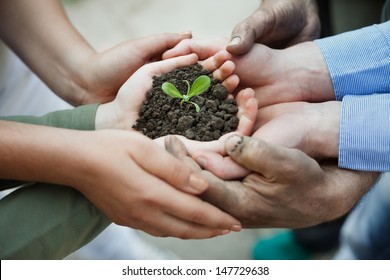 Cupped Hands Holding A New Plant In Soil