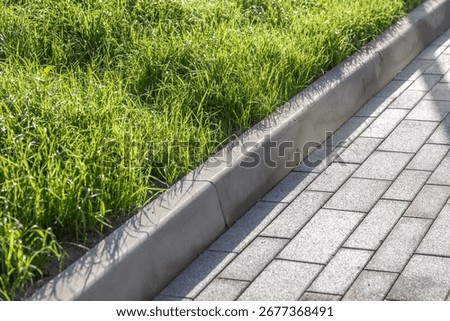 Curb on the border of a rectangular cobblestone walkway and green lawns. Green lawn next to a paved walkway. Landscaped courtyard element with grass and stone walkway. Photo
