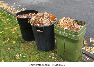 Curbside Yard Waste Collection, Fallen Tree Leaves In Trash Bin In Autumn Season