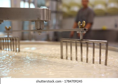 Curd And Whey In Tank At Cheese Factory, Closeup