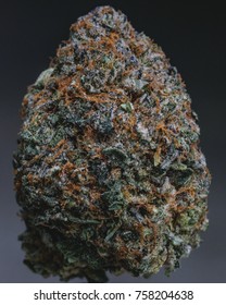 Cured Cannabis Macro Bud Shot Of Thinmint GSC.