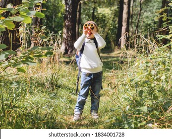 Curious Boy Is Hiking In Forest. Outdoor Leisure Activity For Kids. Child Looks Through Binoculars On Tree Foliage. Sunny Day At Autumn Or Summer Day.