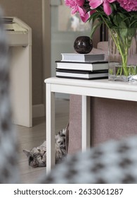 A curious cat peeks from behind a sofa in a cozy living room with vibrant pink peonies in a glass vase and books on a table, perfect for a home decor inspiration.
