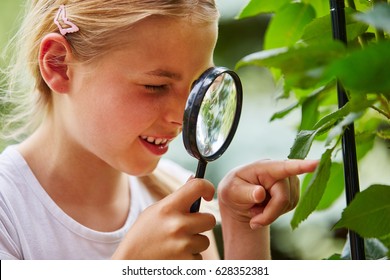 Curious Child Explores Nature And Looks At Leaf With Loupe