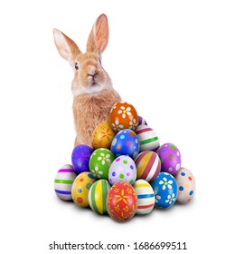 Curious, cute and funny Easter Bunny or Easter Rabbit peeking behind a pile of painted decorated or ornate Easter Eggs for Easter Egg Hunt Game isolated white background, cut out or cutout - Shutterstock ID 1686699511
