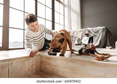 Curious Dog Sniffing Playing Console