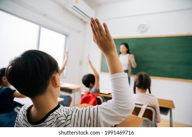 Curious and excited cute little boys and girls listening and attending lecture while focusing and concentrating on studies in classroom - Shutterstock ID 1991469716