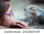 A curious girl watches intently as a rhinoceros iguana lounges at the Berlin Zoo, creating a moment of wonder.