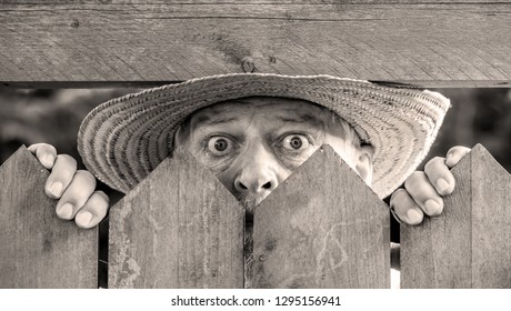 A Curious Man Looks Over A Garden Fence