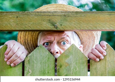 a curious man looks over a garden fence