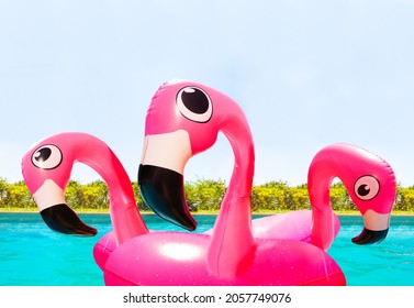 Curious Multiple Pink Inflatable Flamingos In The Summer Outdoor Pool