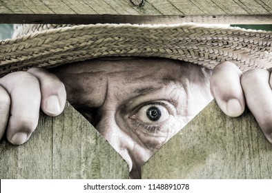 A Curious Neighbor Looks Over A Garden Fence