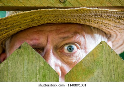 A Curious Neighbor Looks Over A Garden Fence