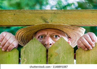 a curious neighbor looks over a garden fence