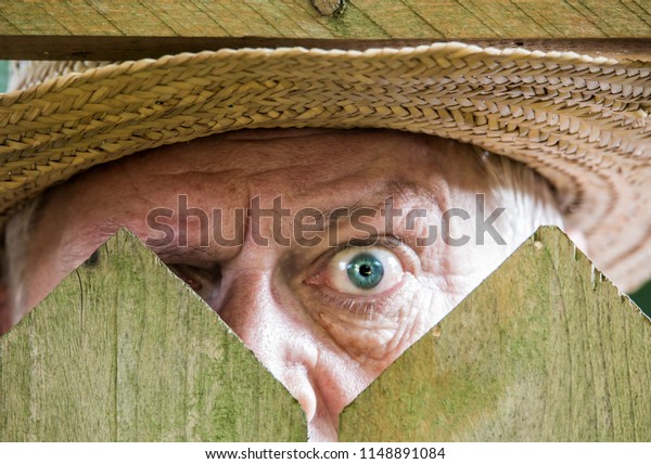a curious\
neighbor looks over a garden\
fence