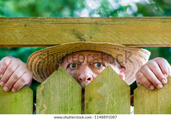 a curious\
neighbor looks over a garden\
fence